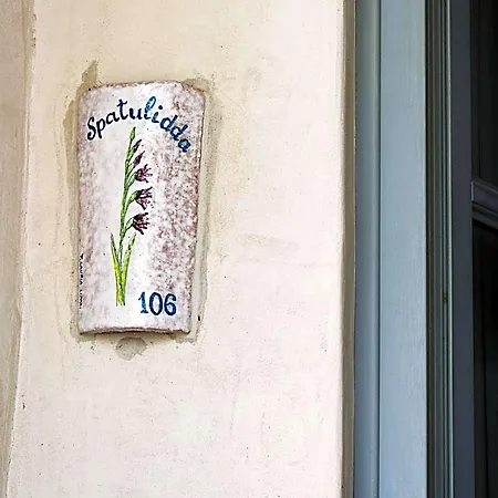 Acanto